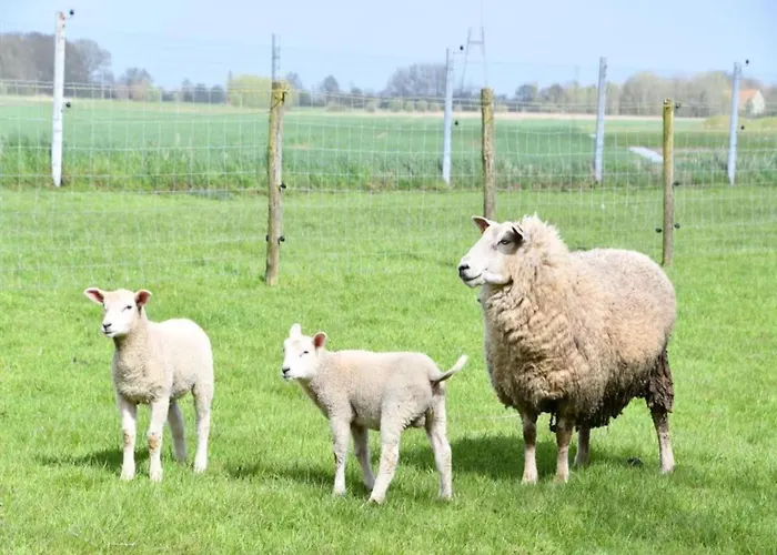 Appartamento In By The Marina *